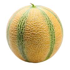 Cantaloupe